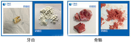 1638769506393205.jpg 骨骼牙齒粉碎儀研磨效果圖