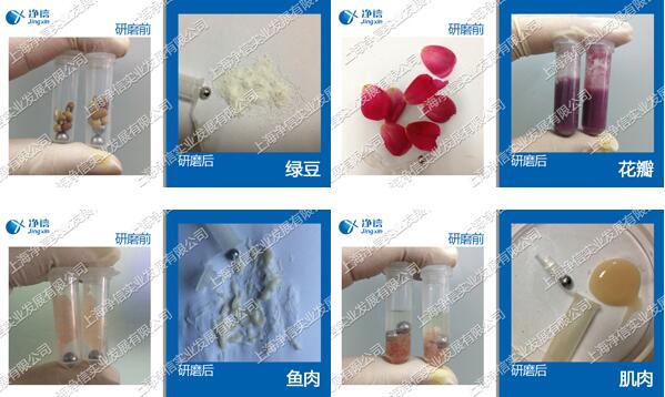 多樣品組織研磨儀樣品研磨效果圖.jpg 多樣品組織研磨儀樣品研磨效果圖.jpg